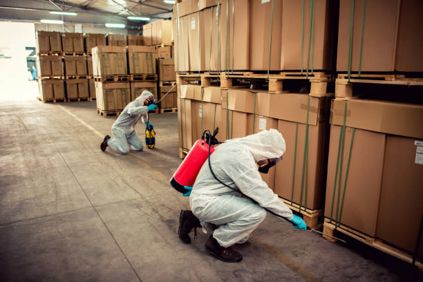 Best Wildlife Control Services  in Chatham, IL