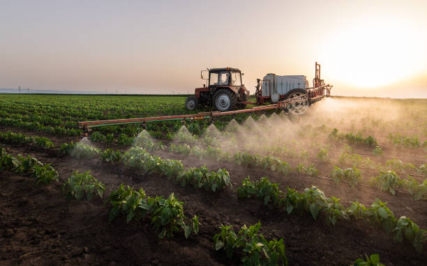 Pest Control Cost in Chatham, IL