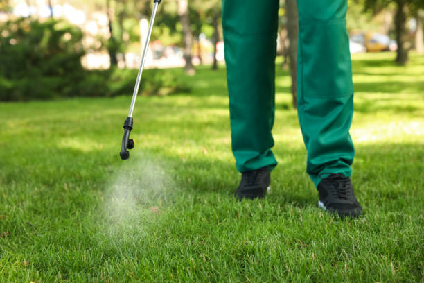 Best Pest Prevention Services  in Chatham, IL