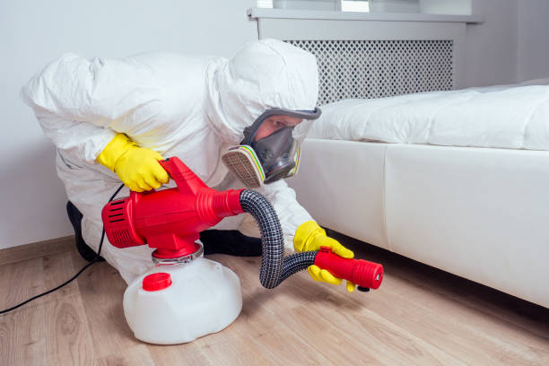Best Wasp Removal Services  in Chatham, IL