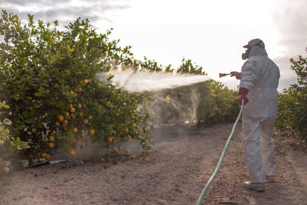 Pest Prevention Services in Chatham, IL