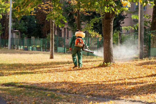 Best Pest Control Near Me  in Chatham, IL