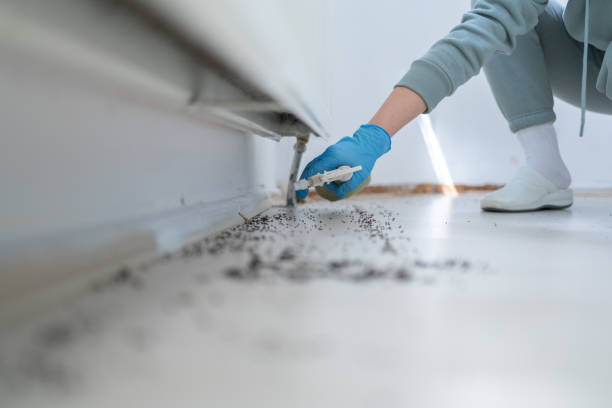 Professional Pest Control in Chatham, IL